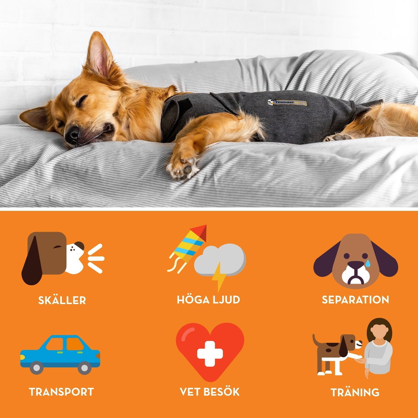 Thundershirt Dog