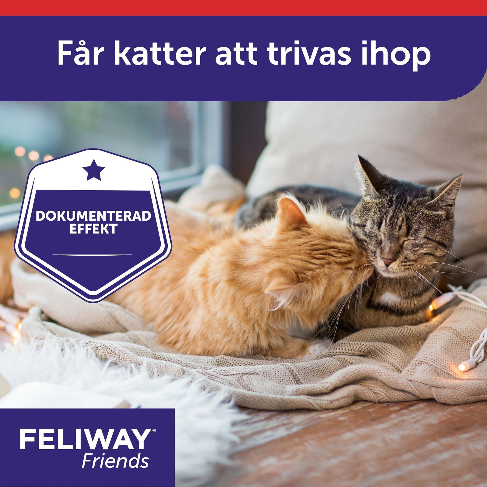 Feliway Friends Refill 48 ml