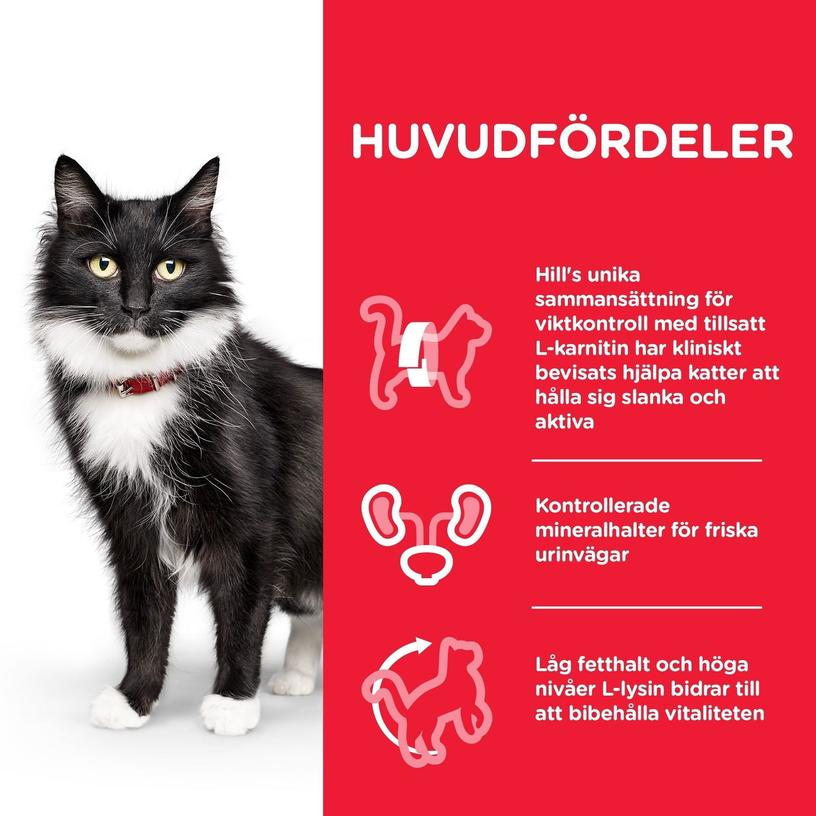 Hills Science Plan Feline Mature Sterilised