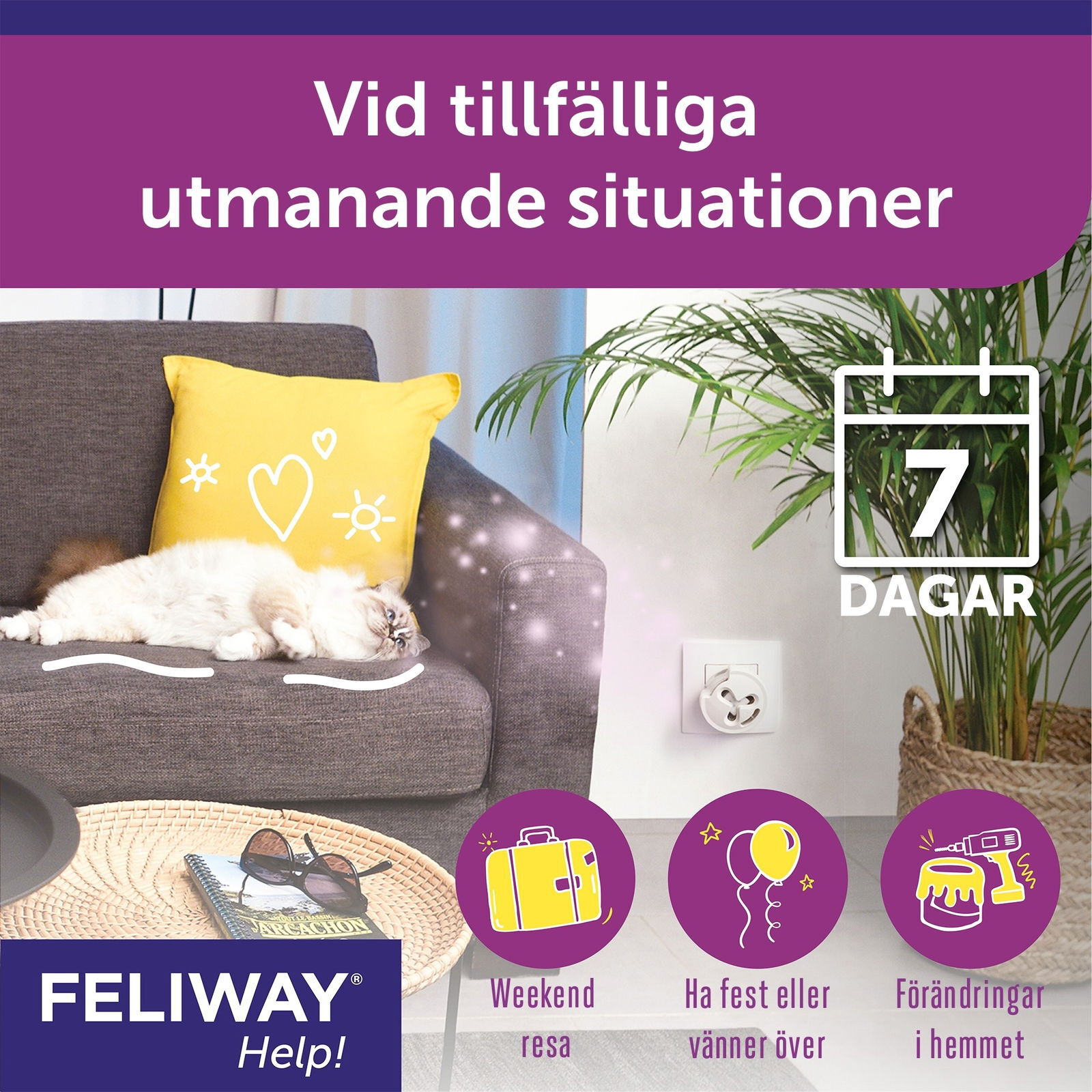 Feliway Help refill 3pack
