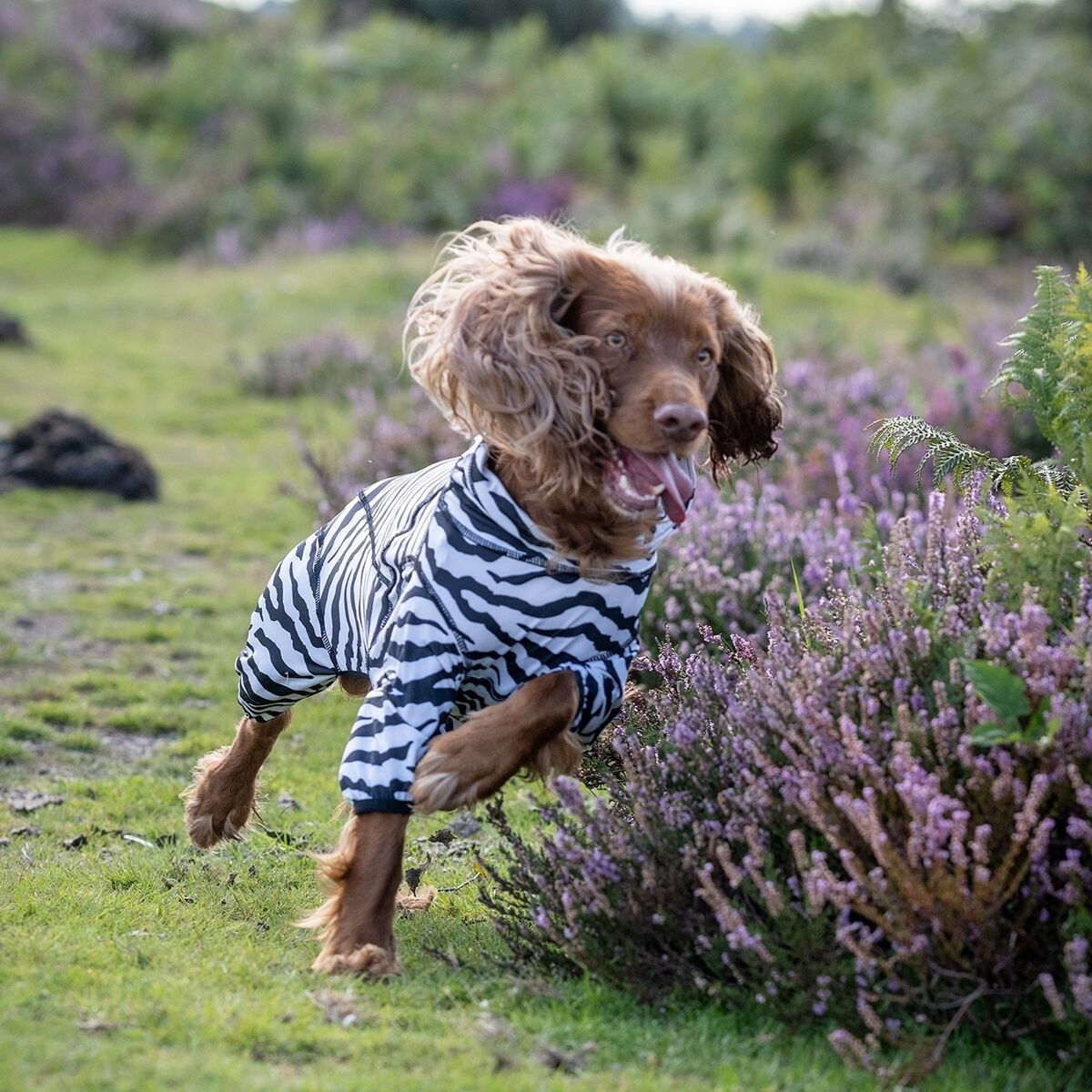 Rukka Zebra overall