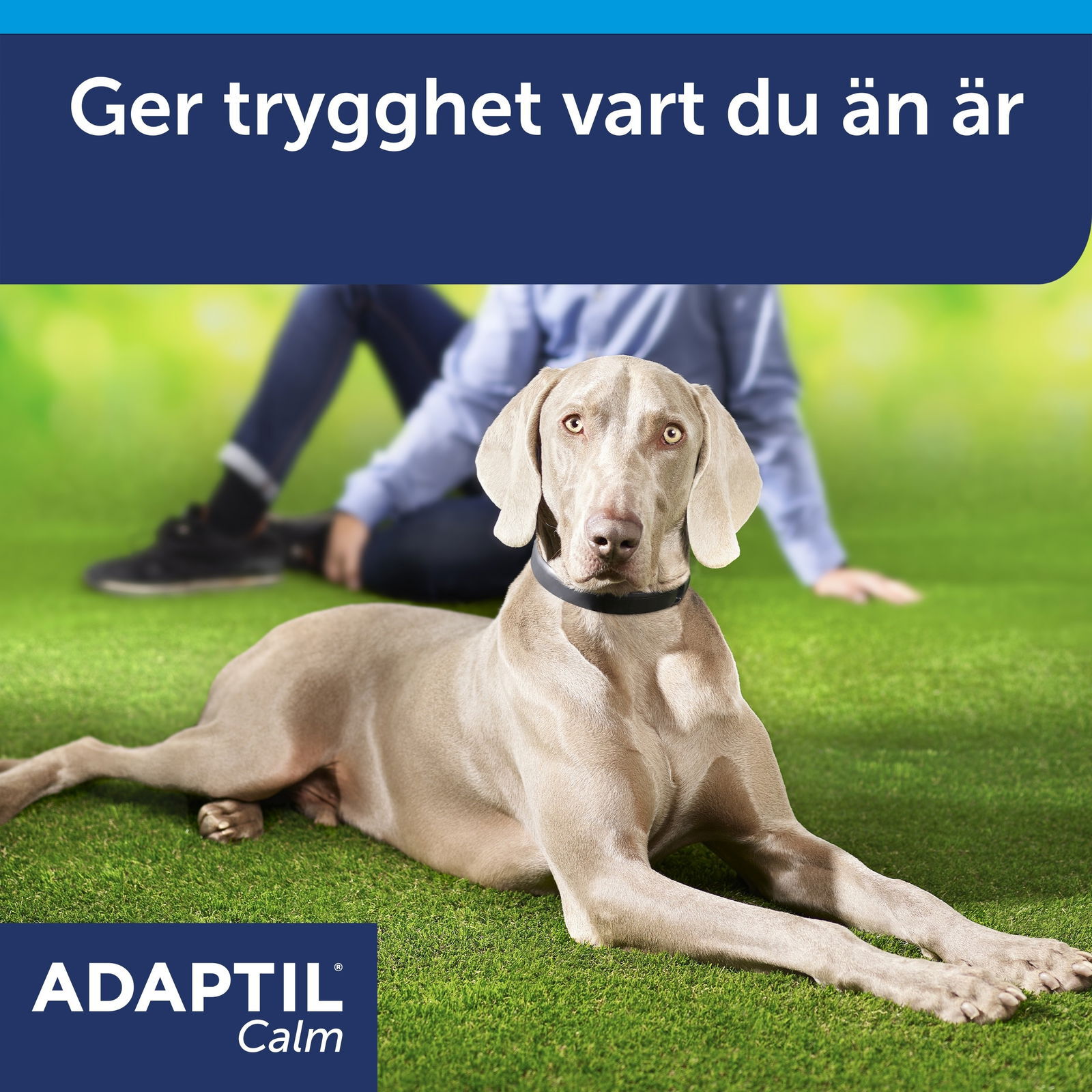 ADAPTIL Halsband