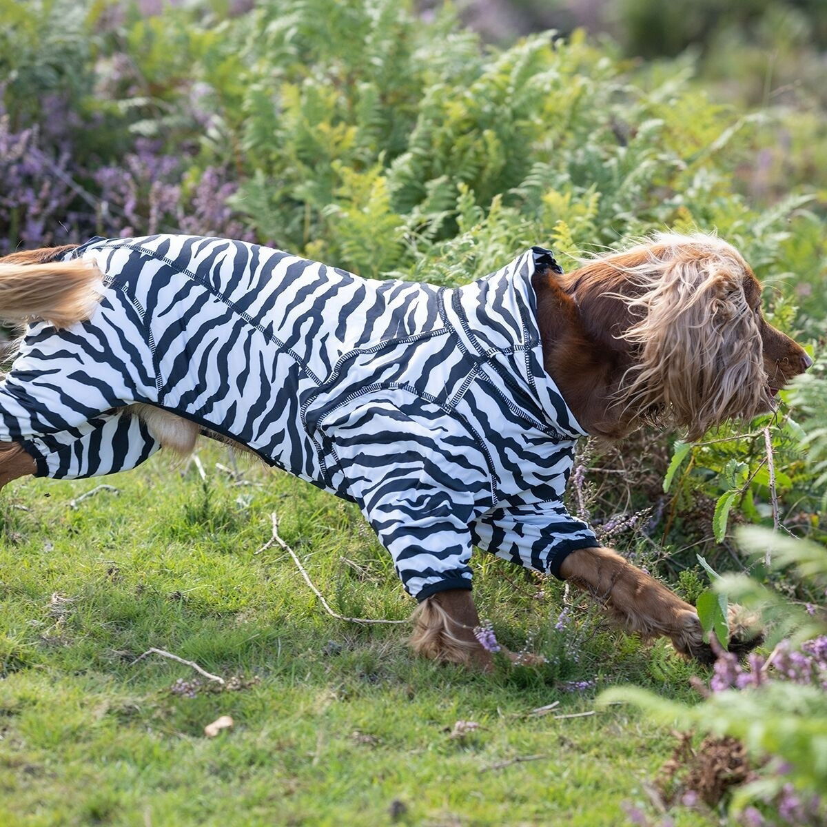 Rukka Zebra overall