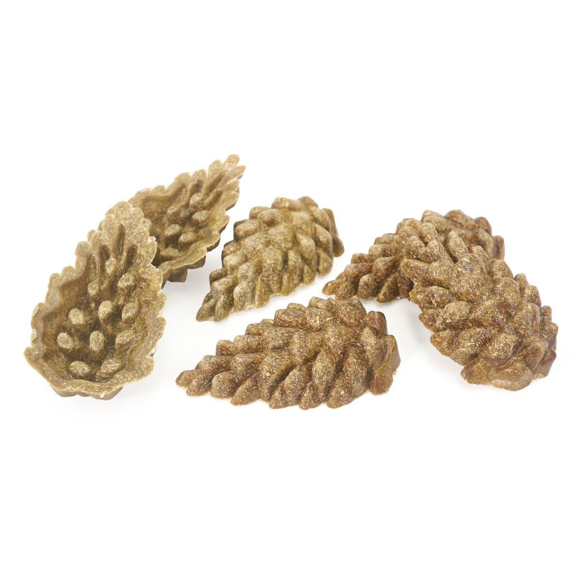 Rosewood Veggied burst pinecones 6pcs